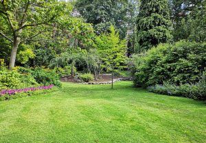 Optimiser l'expérience du jardin à Saint-Michel-sous-Bois